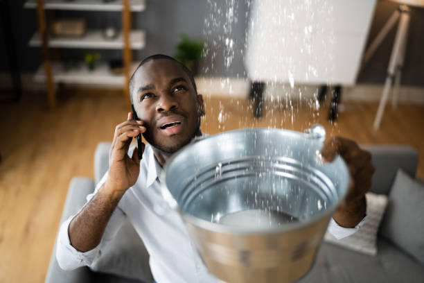 Best 24-hour water damage restoration  in Magnolia, NJ