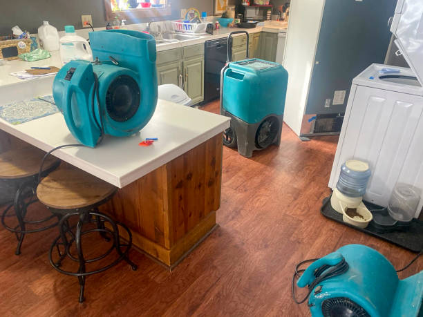 Best Water damage restoration company  in Magnolia, NJ