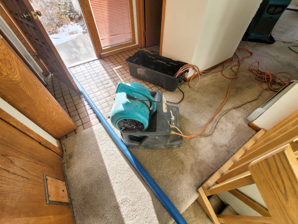 Carpet water damage restoration in NJ