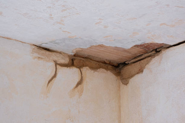 Best Water damage restoration near me  in Magnolia, NJ