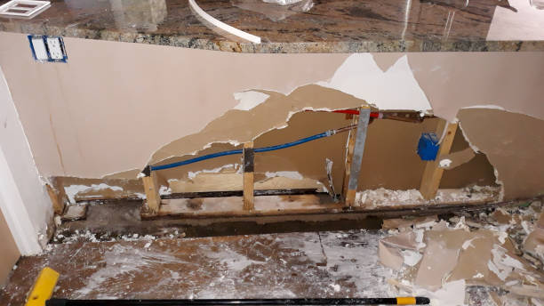 Best Professional water damage repair  in Magnolia, NJ