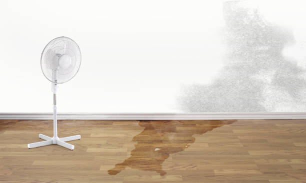Local water damage restoration in NJ