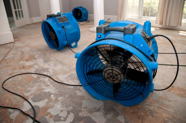 Best 24/7 water damage repair  in Magnolia, NJ