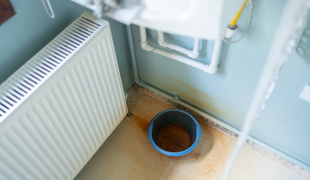 Best Fire Damage Restoration  in Magnolia, NJ