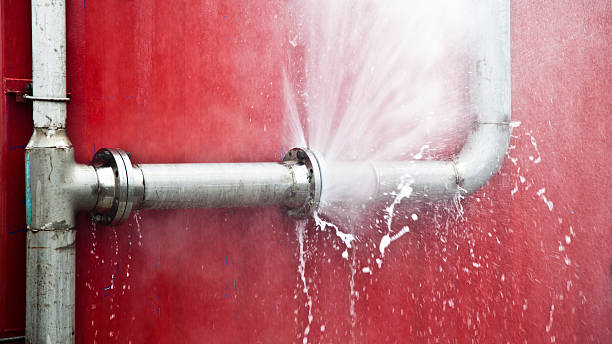 Best Flood damage cleanup  in Magnolia, NJ